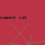 cement cat